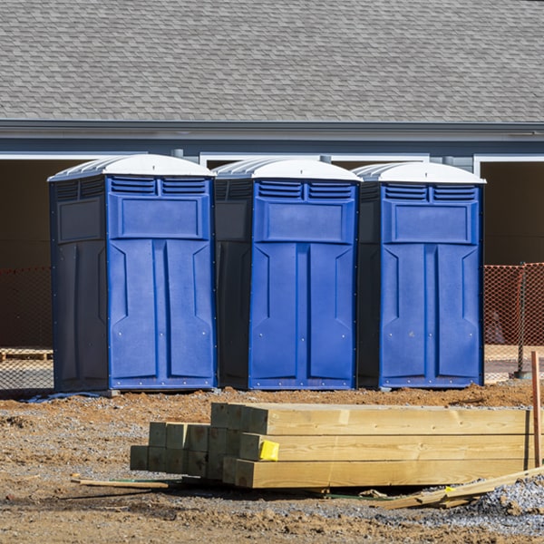 how often are the porta potties cleaned and serviced during a rental period in Basking Ridge